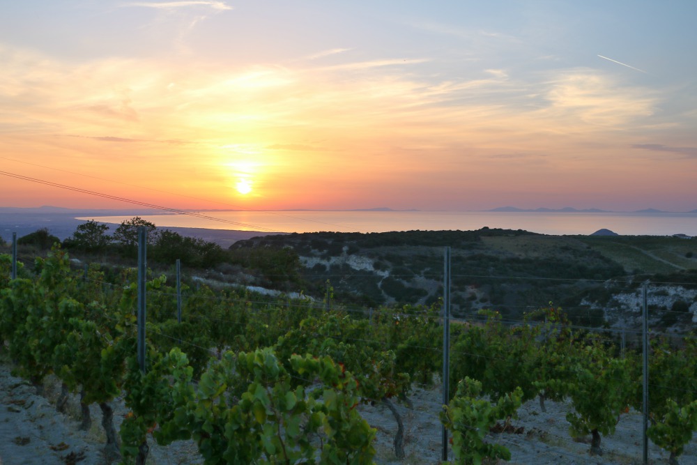 Il tramonto sul mare dall'alto delle vigne Sorres