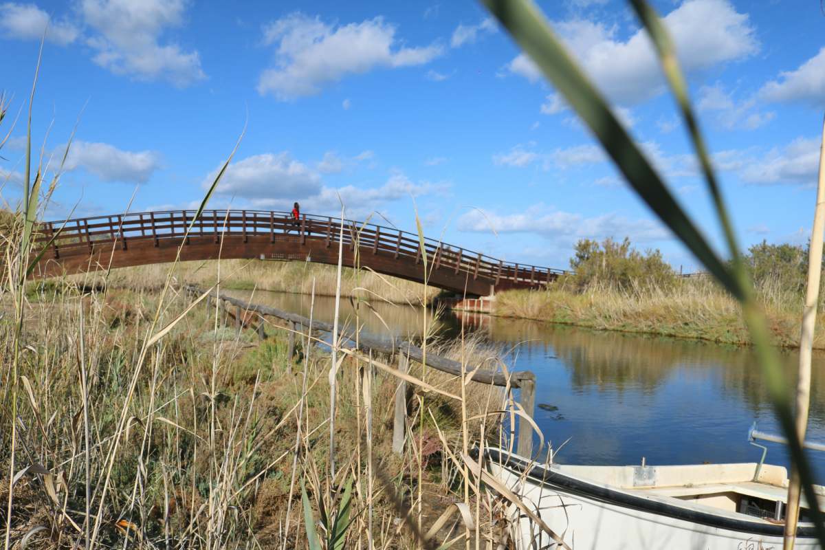 Il ponte che attraversa lo stagno e porta a Su Tiriarzu
