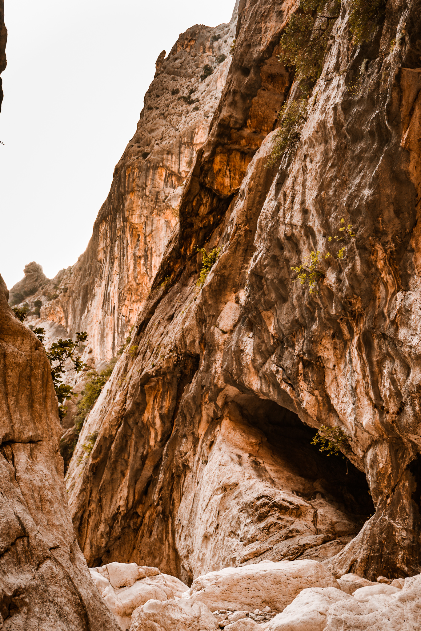 Grotte nascoste nelle pareti del canyon di Gorropu